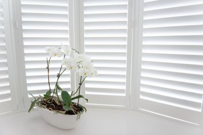 Slat Shutter - Shutter Repair And Replacement Myakka City, Florida